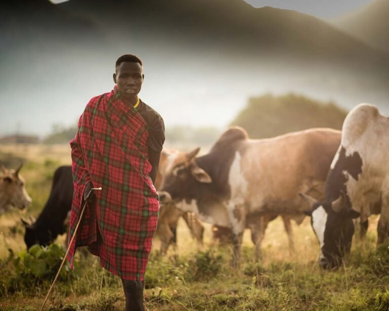 A-young-herdsman-grazes-his-cattle-in-moroto-karamoja-region-photographer-in-kenya
