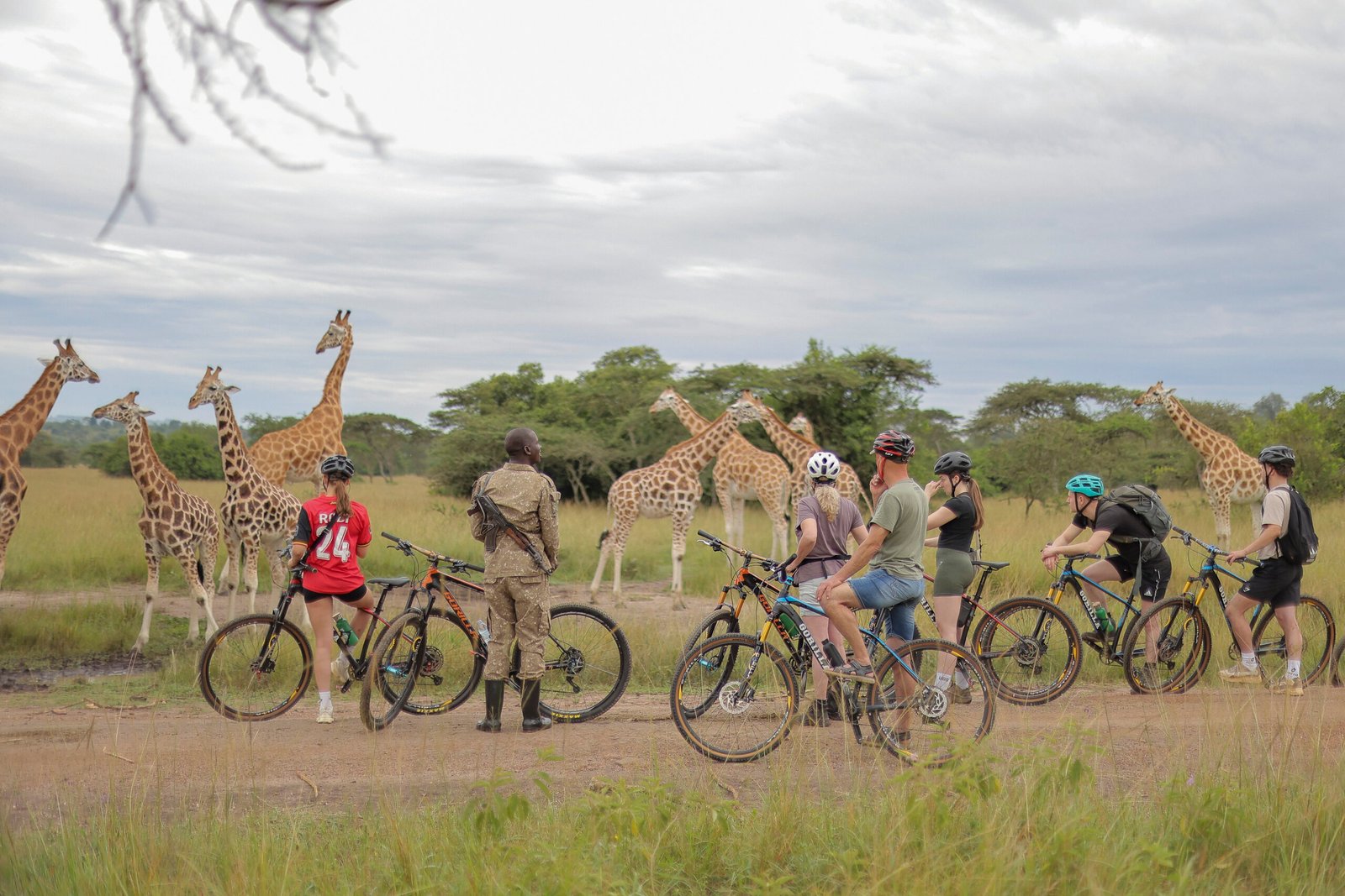 bike tours to see giraffes in kenya